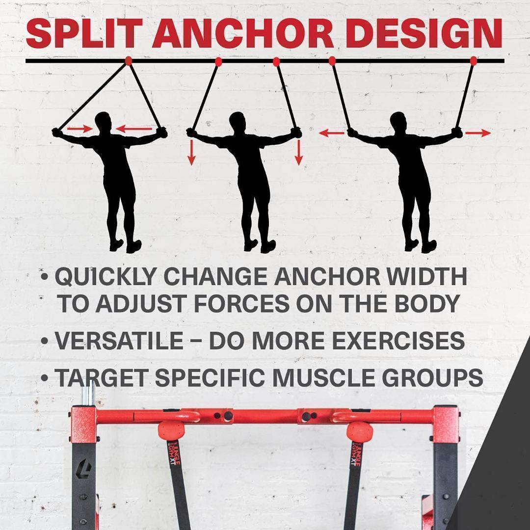 ムキムキ　ライフライン ジム サスペンション トレーナー 美ボディー　筋トレ