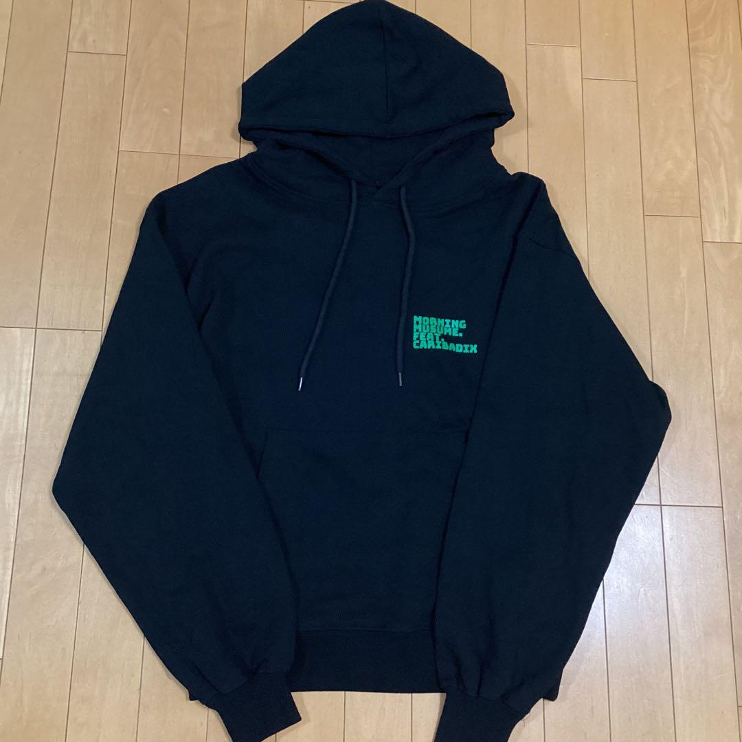 極美品 モーニング娘 山崎愛生 パンダ パーカー R4G がおっきー サンリオ