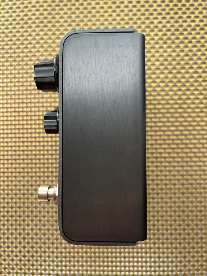 Strymon El Capistan 【専用箱付】テープエコー ディレイ