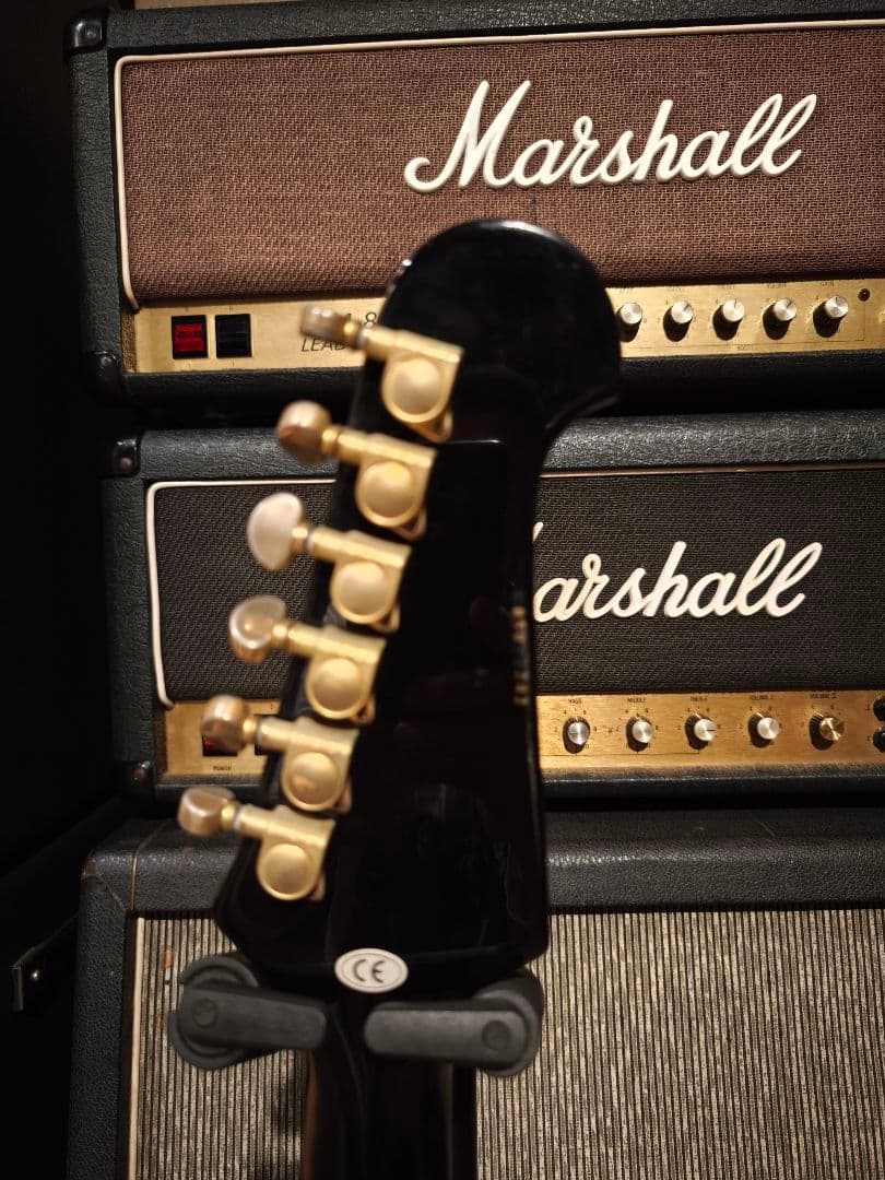 Epiphone Firebird Ⅶ ファイヤーバード ファイアーバード