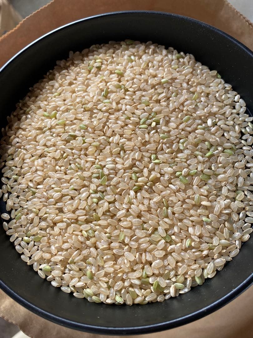 令和7年　つきあかり　玄米　計330kg（30kg×11袋）