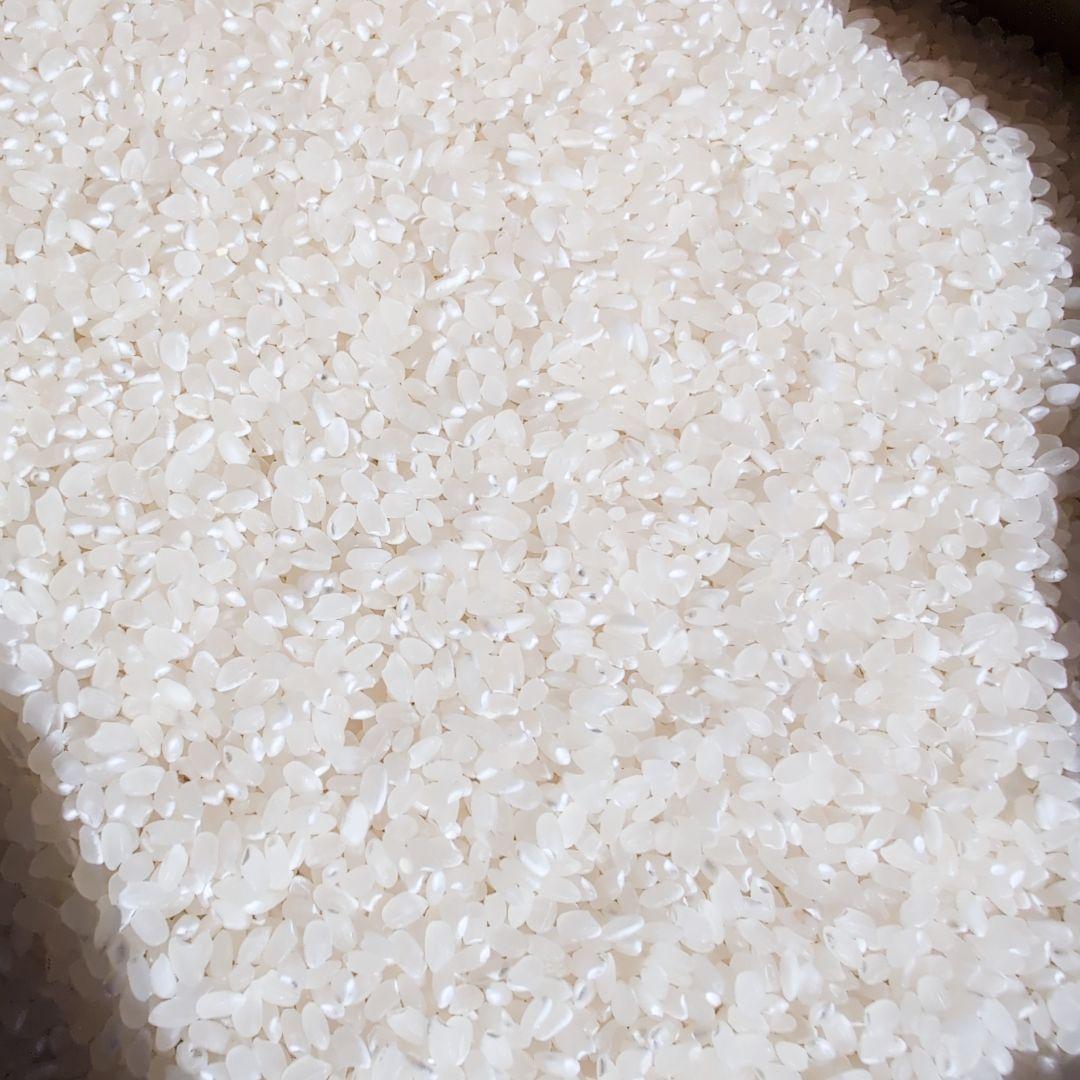 令和7年度 新米 千葉県産 コシヒカリ 玄米 10キロ ※ご希望の方は無料精米