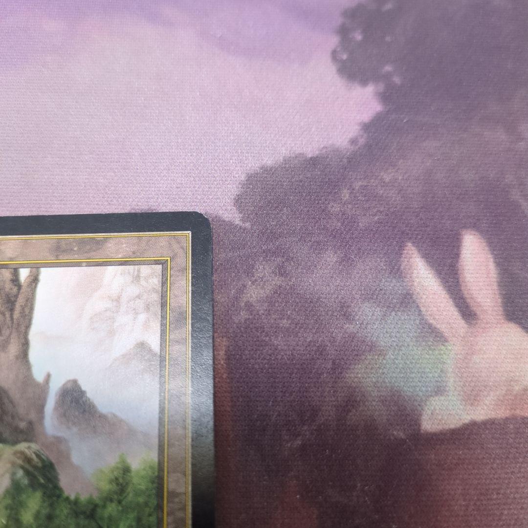 MTG　樹木茂る山麓　Wooded Foothills　ONS　日語