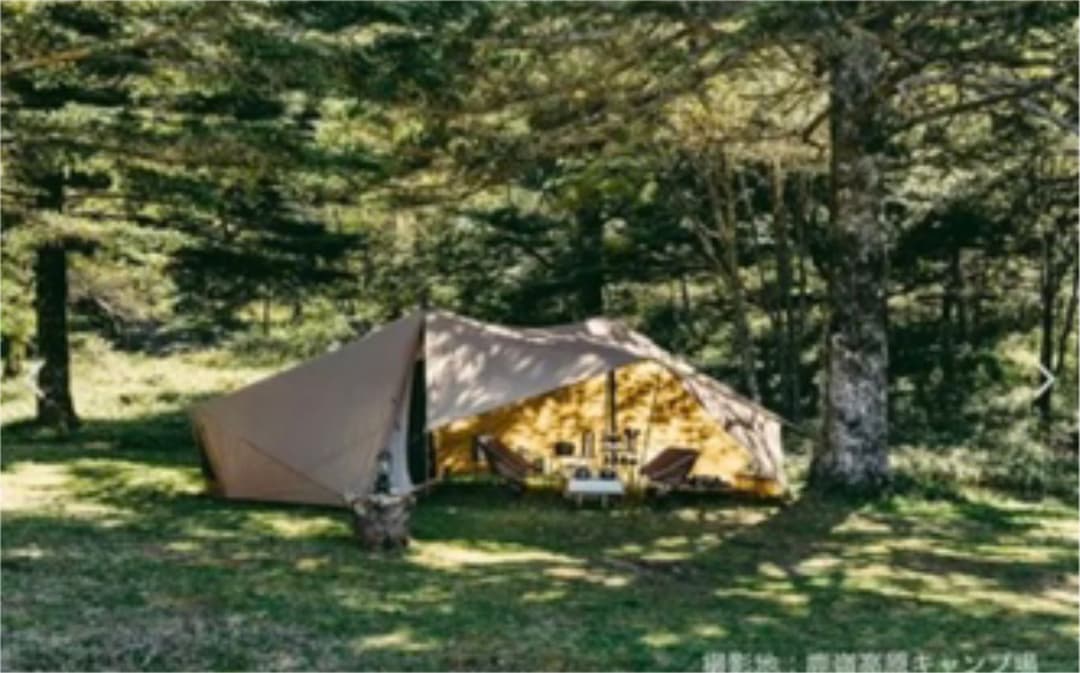 新品 送料込 ゼインアーツ ギギ2 PS-022/ZANEARTS