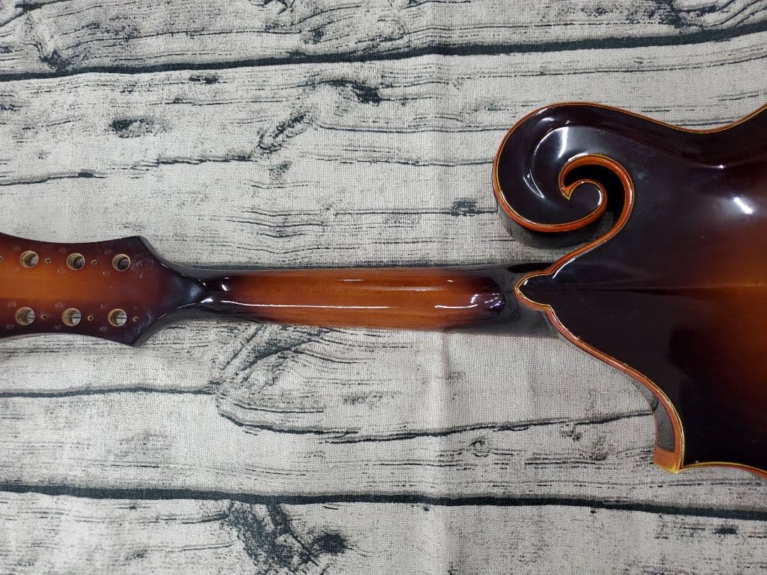 BLUE BELL ブルーベル F-10 フラットマンドリン