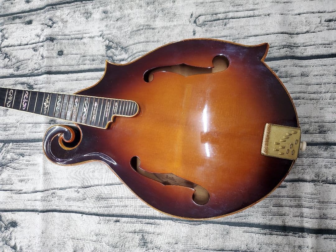 BLUE BELL ブルーベル F-10 フラットマンドリン