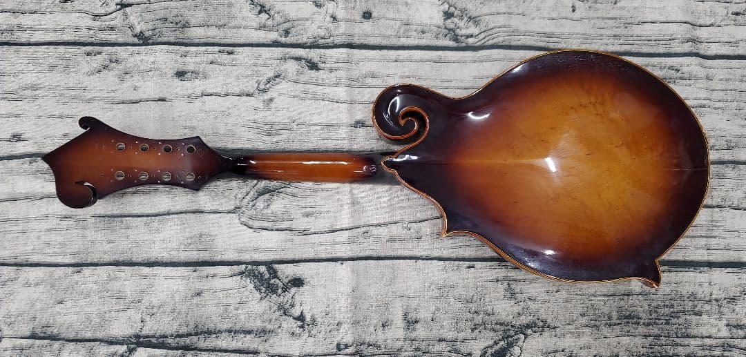 BLUE BELL ブルーベル F-10 フラットマンドリン