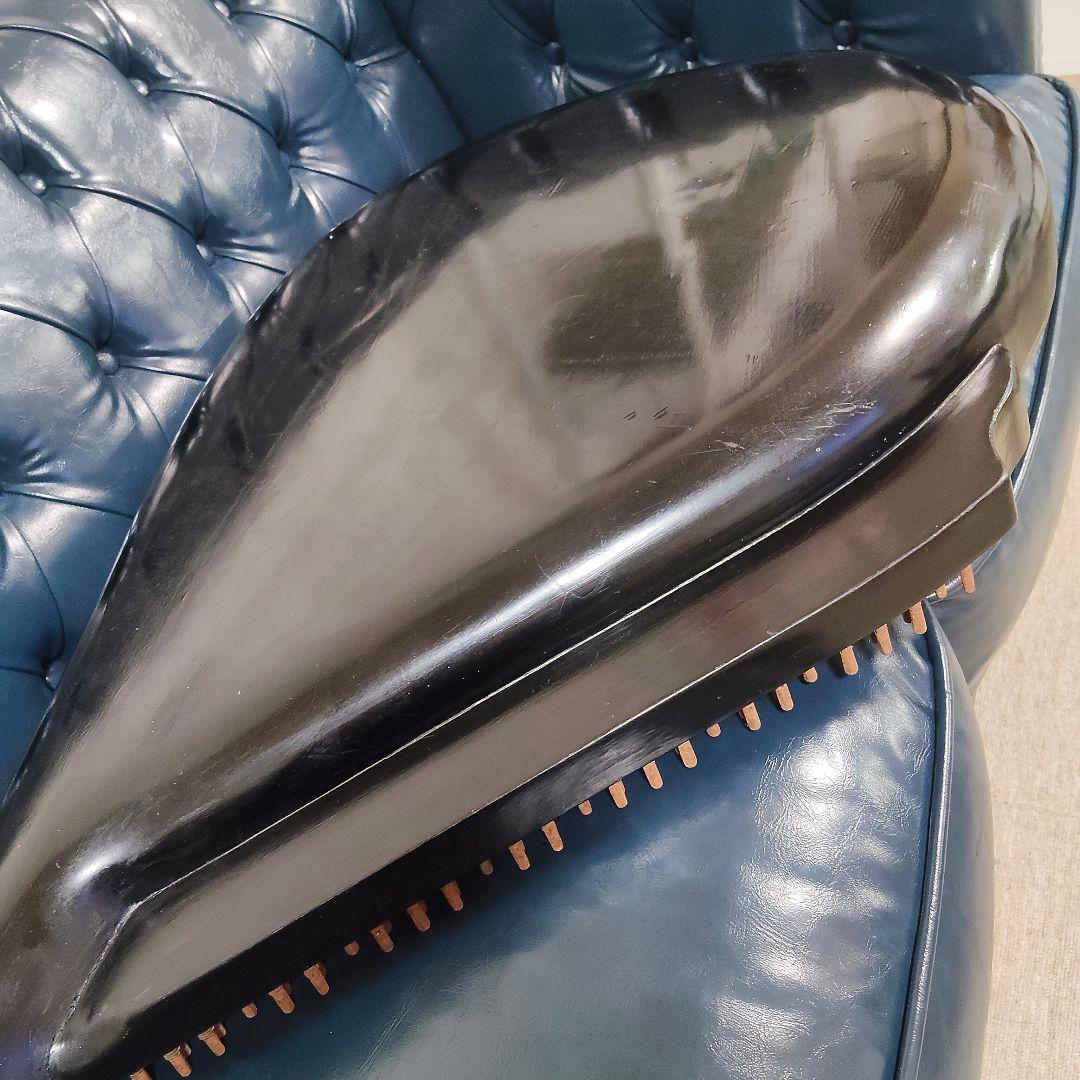 ​【希少】民族楽器 バンドゥーラ 55弦 1987年製 チェルニヒフ製