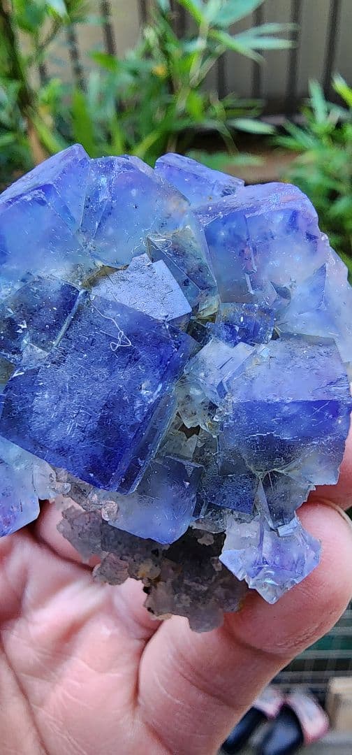 日光フローライト