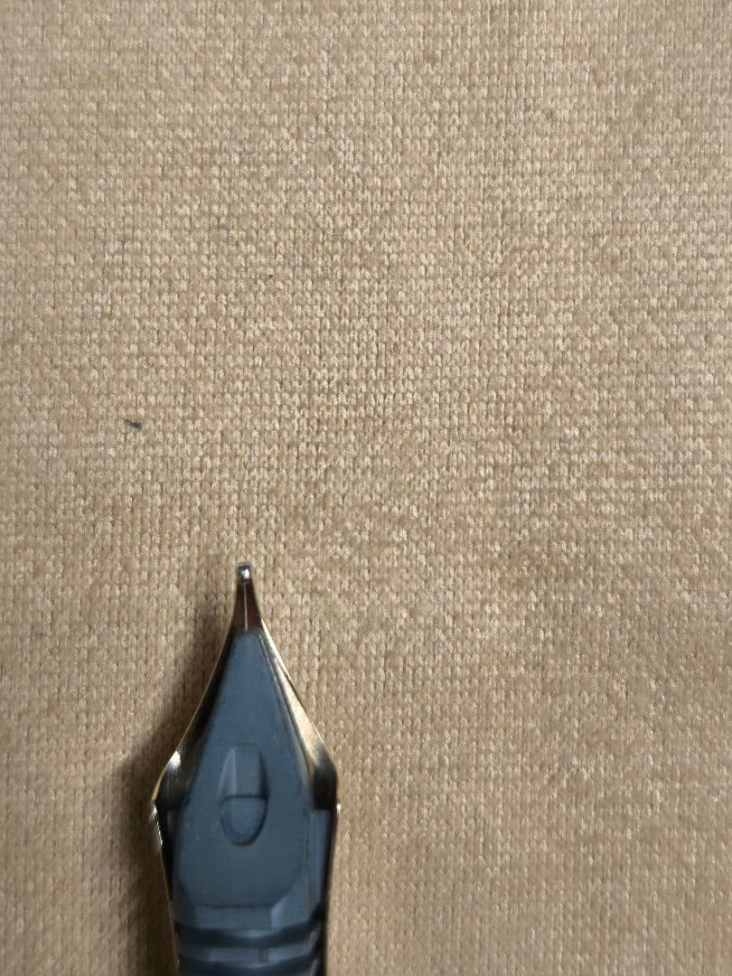 PILOT（パイロット） 万年筆 カスタムカエデ モクメ Mニブ