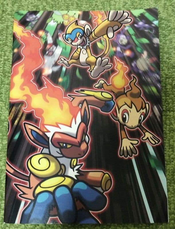 ポケモン福袋 ピカピカバッグ 2008 トイザらス限定版 ポケモンセンターグッズ