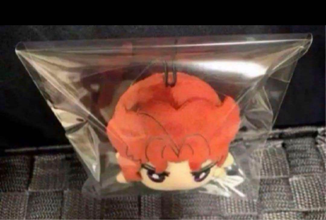 ジョジョの奇妙な冒険 ちみっともぬい 花京院典明 新品未使用