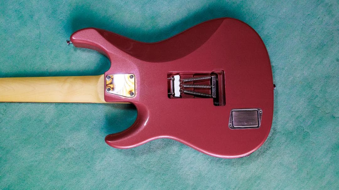 [藤岡幹大モデル] 美品未使用 EDWARDS E-SN7-194MF