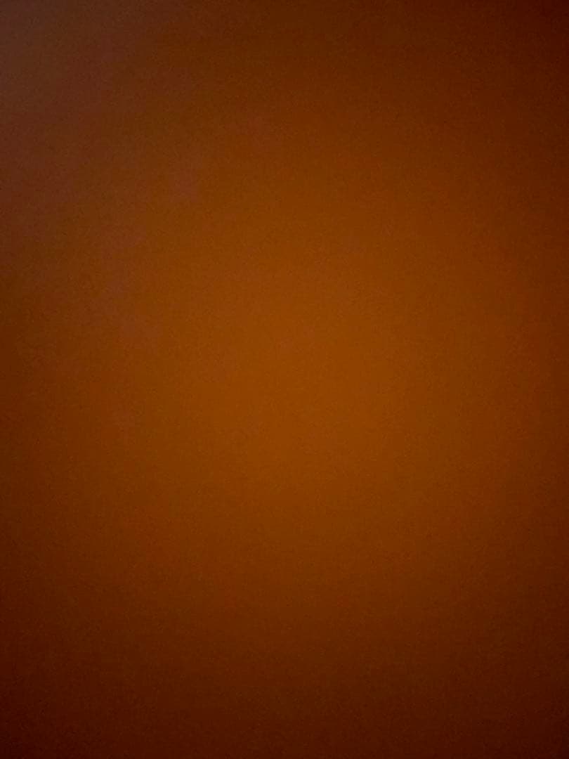 Martind28 アコースティックギター　ハードケース