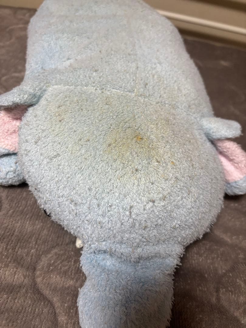 象のぬいぐるみ フリッカ