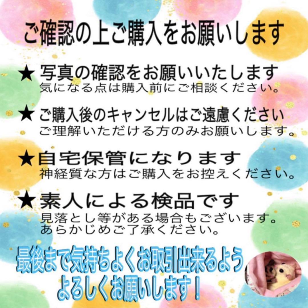 ジョジョの奇妙な冒険 リアルペイントシール カードのみ