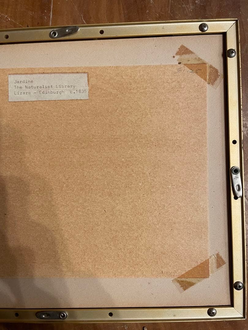 ウィリアム・ホーム・リザーズNaturalist Library Lizars