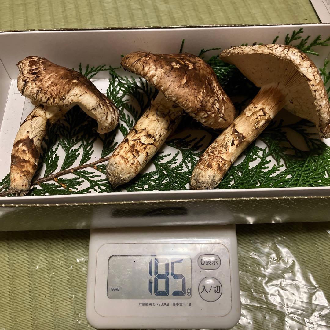 南信州産 天然松茸 185ｇ