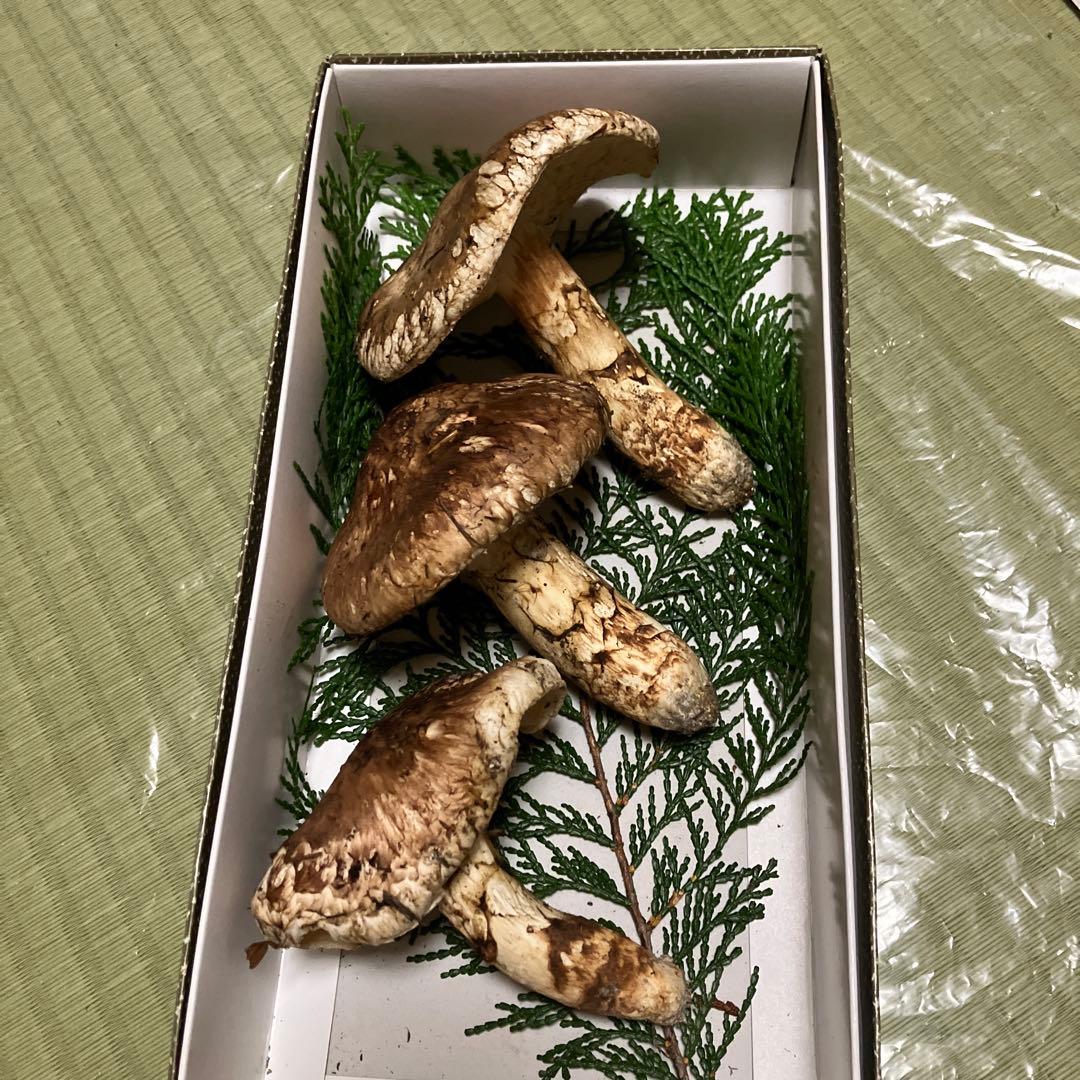 南信州産 天然松茸 185ｇ