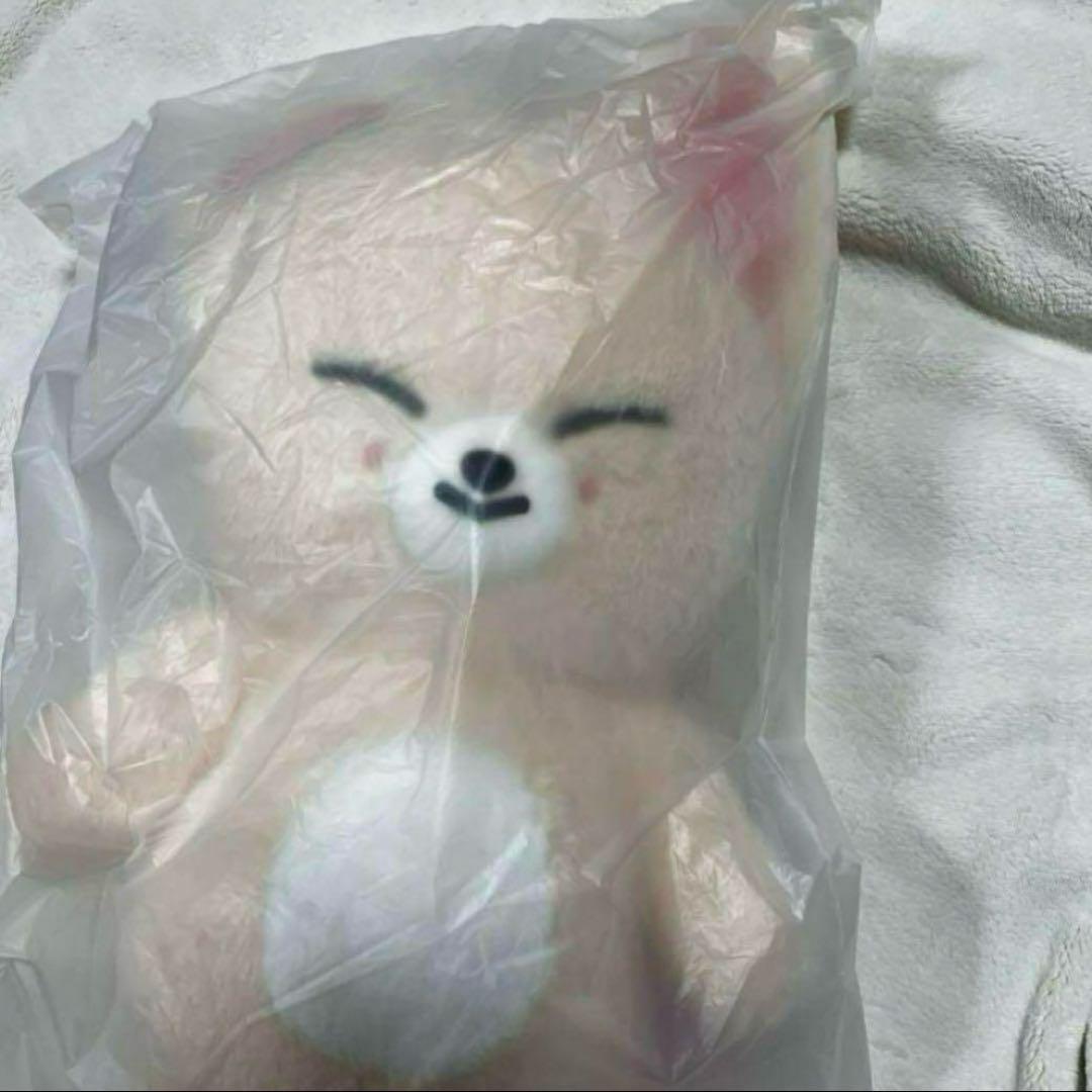 る*き様 Stray Kids SKZOO テディベア FoxI.Ny