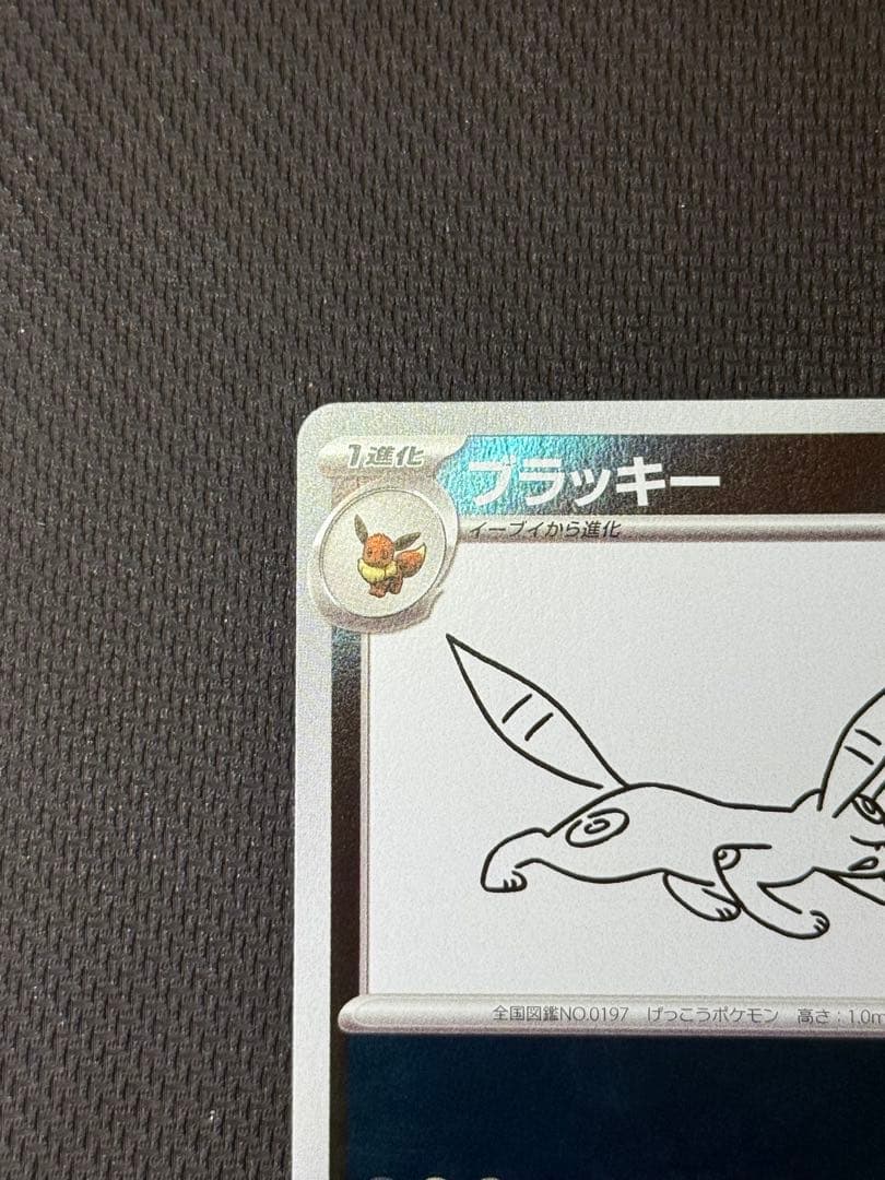 ブラッキー 067/SV-P