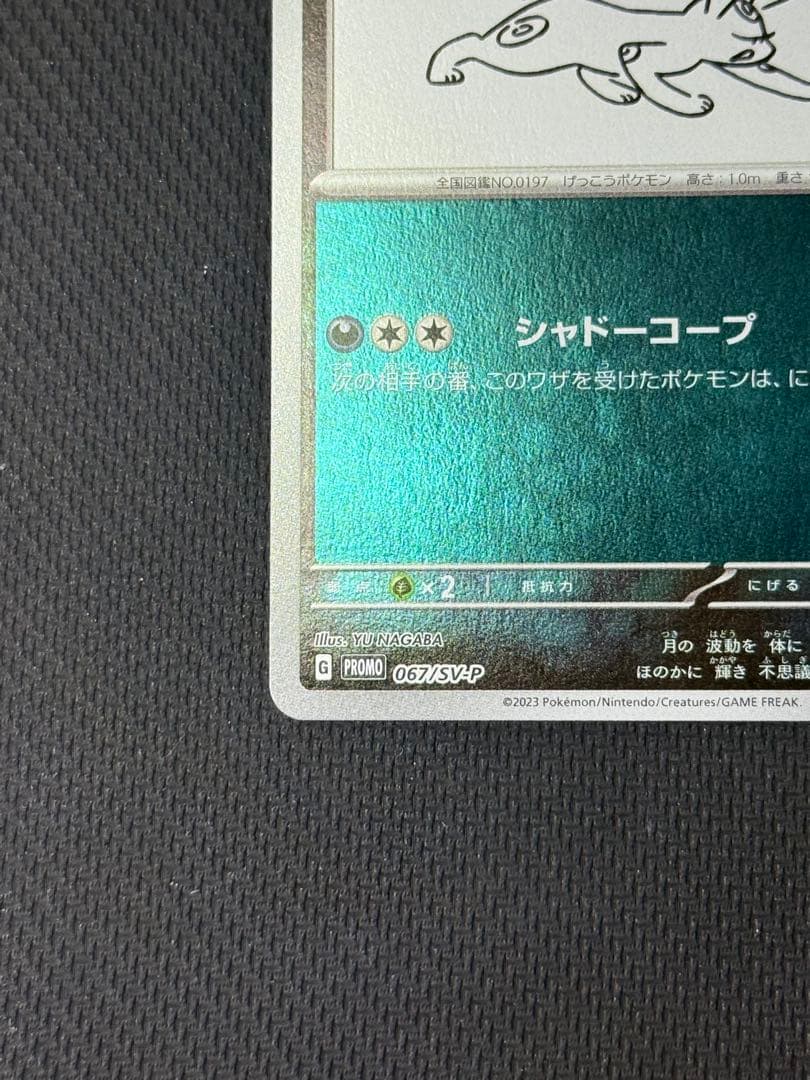 ブラッキー 067/SV-P