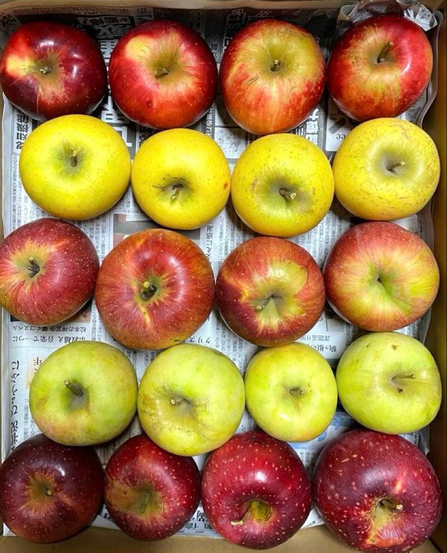 piyo リンゴ いろいろ 15kg