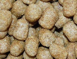 【マズリ】トータスダイエット5Ｍ21 mazuri11.3kg