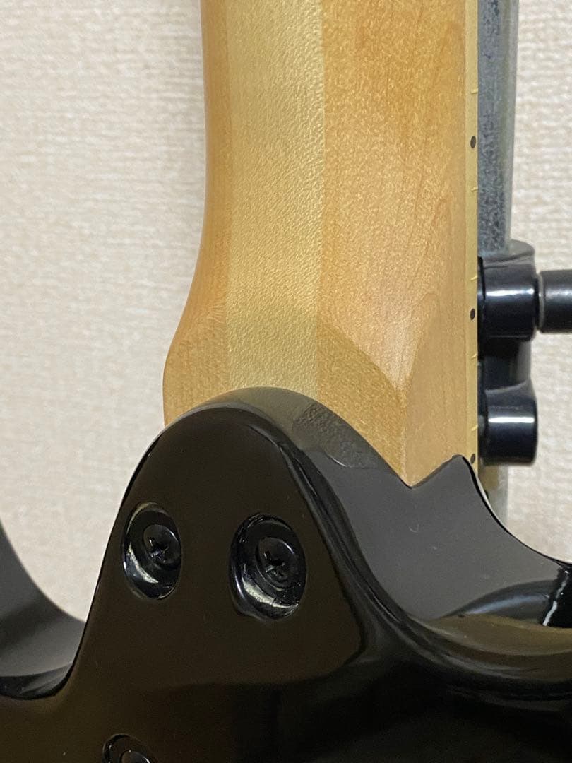 アリアプロ Aria Pro ii MAC-MAX EMG 81