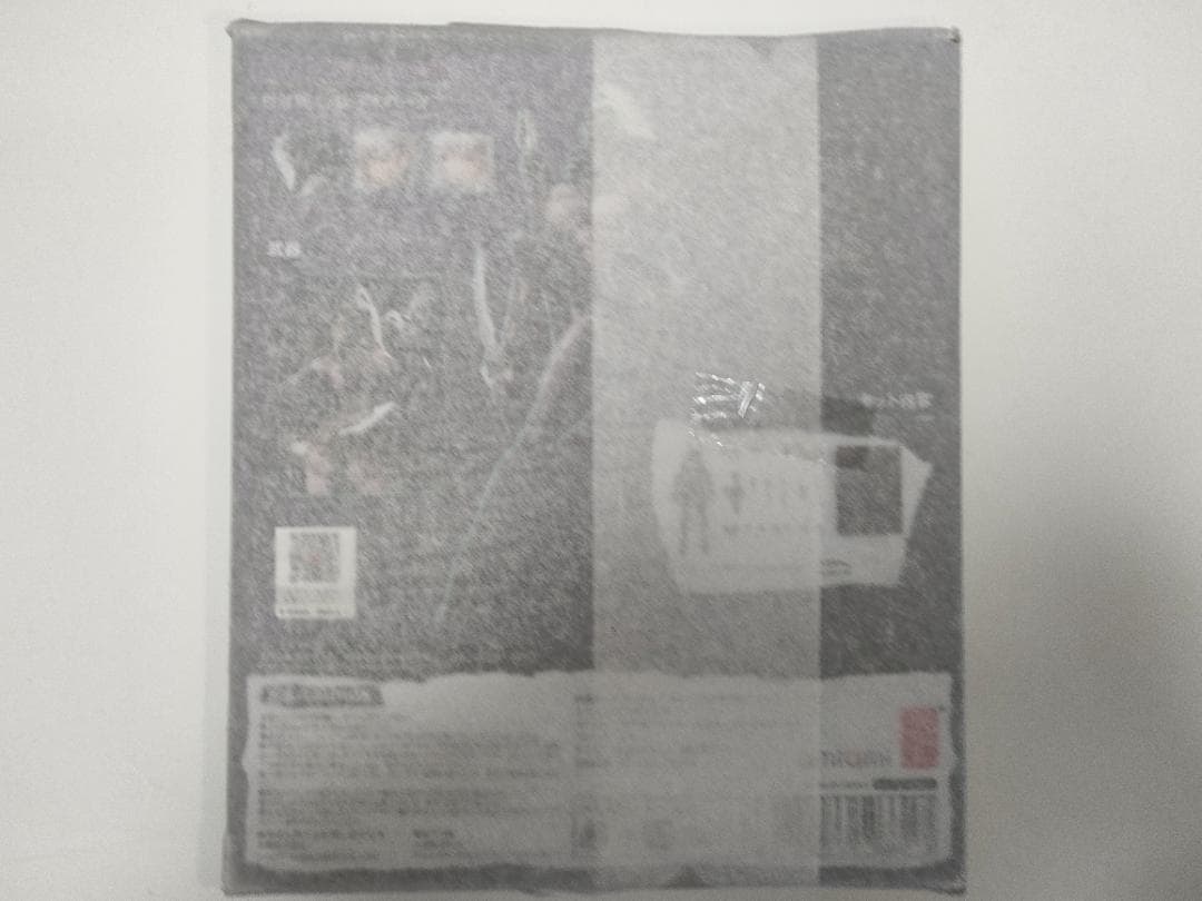 新品 薄紙付 蝸之殼スタジオ SNAIL SHELL 1/12 アサシン 特典付