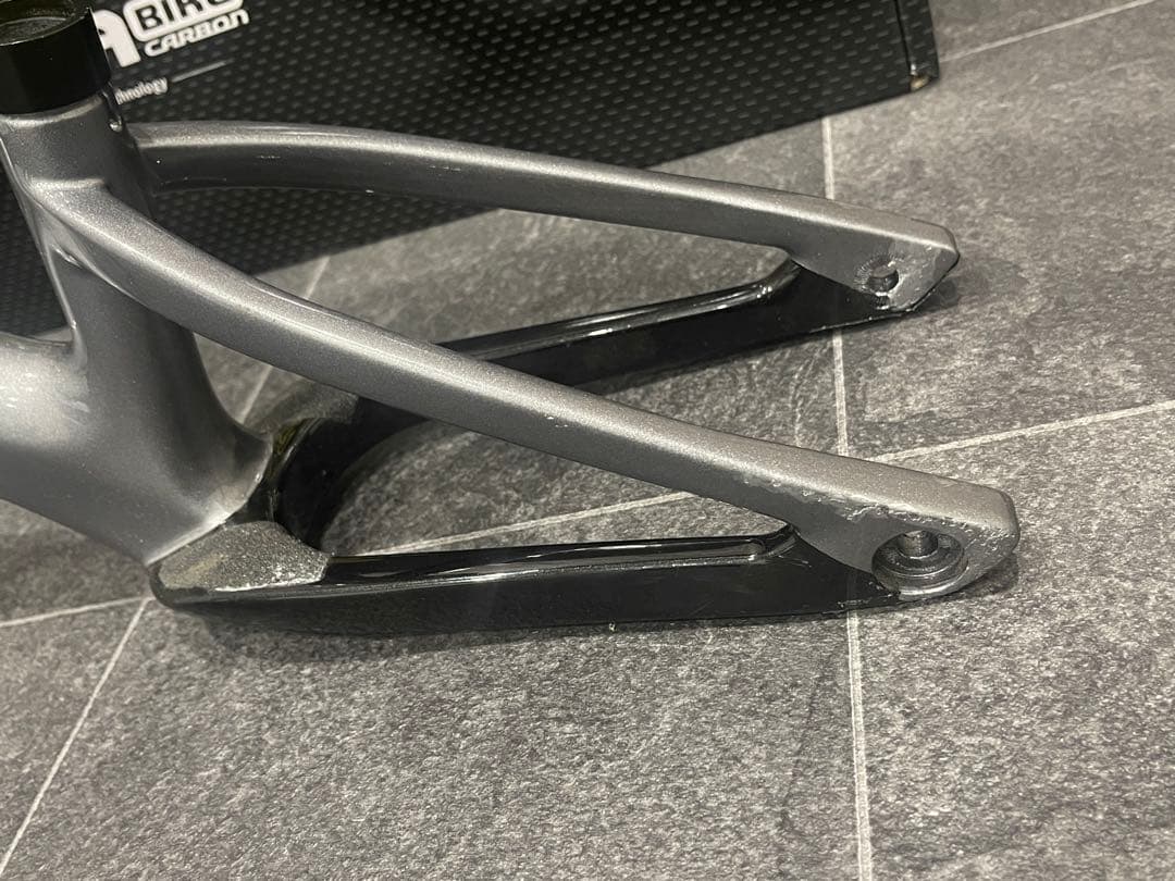 PAPABIKE TESLA パパバイク　テスラ　カーボンフレーム