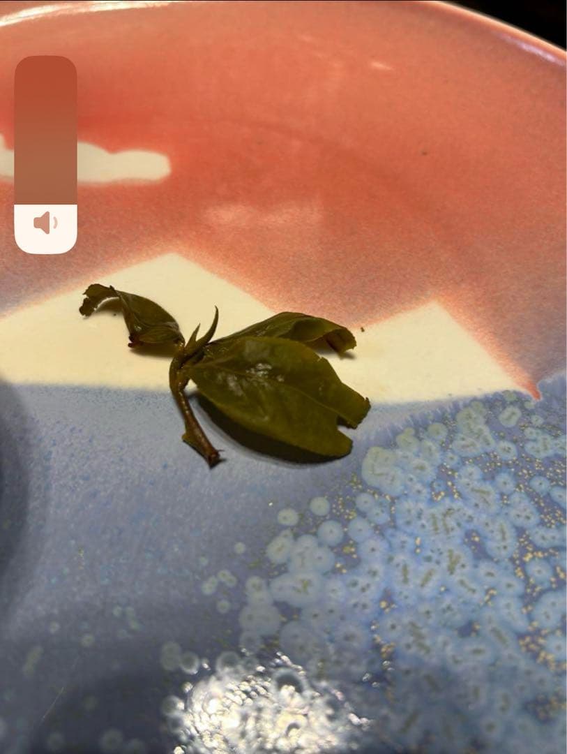 【台湾好茶】頂級 大禹嶺高冷茶150g *1袋 冬茶 2024手摘み