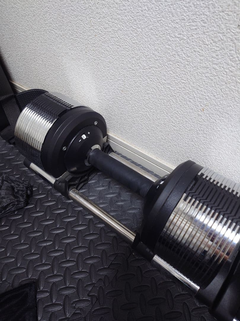 ライシン 可変式メタルダンベル 1kg刻み 3-32kg 2個セット