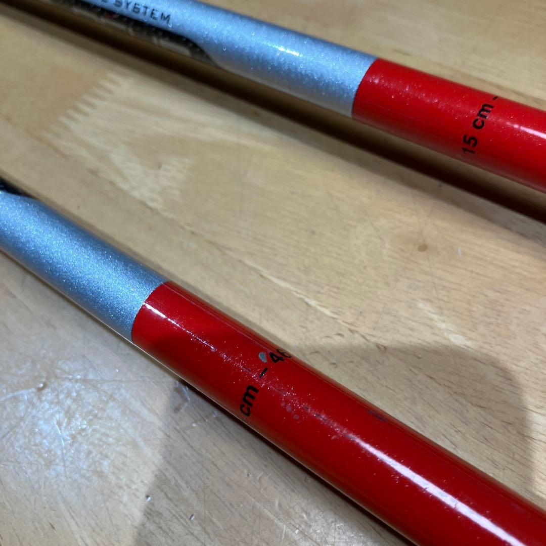 LEKI ストックSLパンチガード　115cm