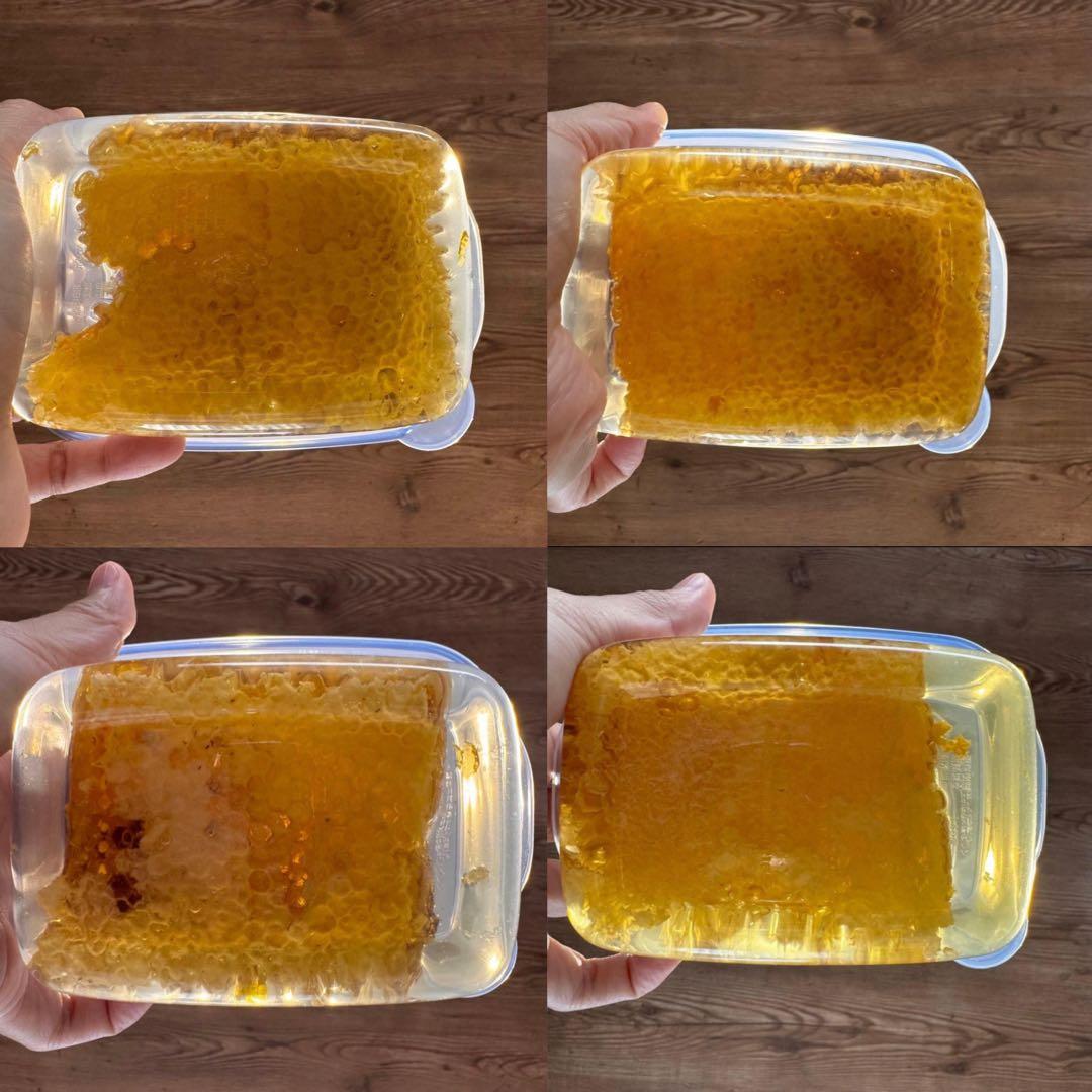 高知県産　生はちみつ　巣蜜　非加熱　百花蜜　日本蜜蜂　ニホンミツバチ　コムハニー