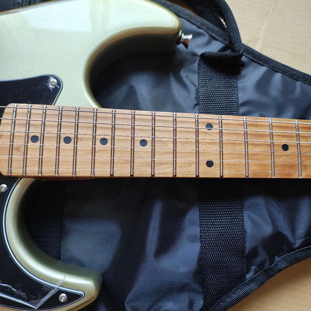 初売りセール　BACCHUS バッカス GS-4DX RSM　ステンレスフレット