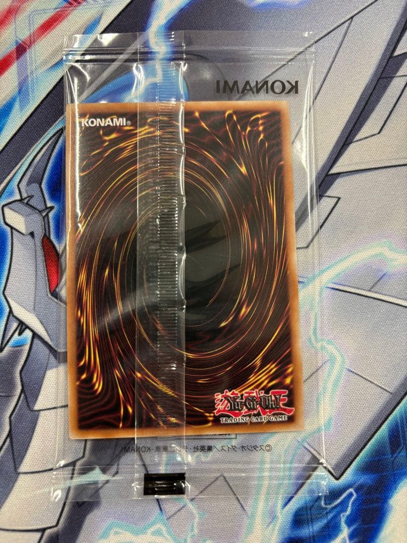 日本選手権　優勝　プロモ