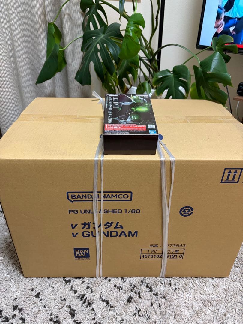 pg unleashed 1/60 νガンダム +ledユニットセット