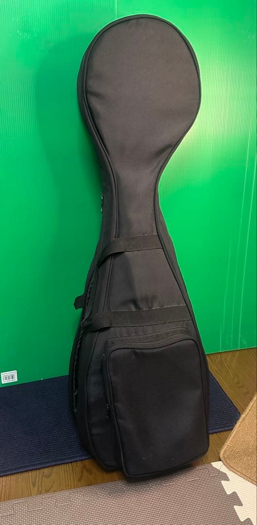 三味線本体 綾杉堂　紅木