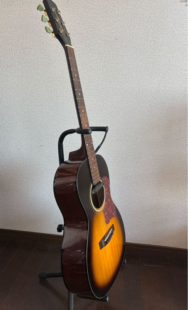 Takamine アコースティックギター　※お値下げ交渉可