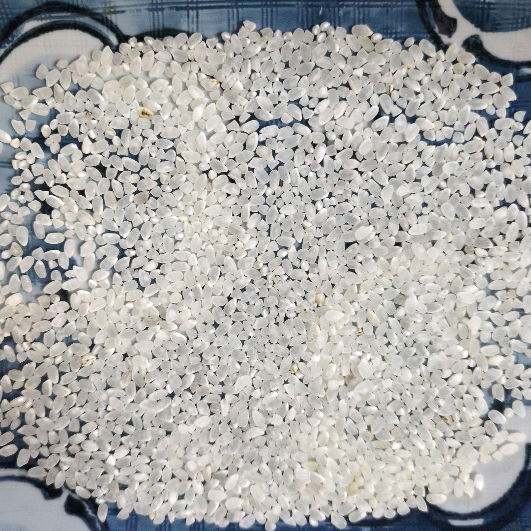 山口県産 コシヒカリ 白米3kg+玄米3kg 計6kg 長谷川さん専用