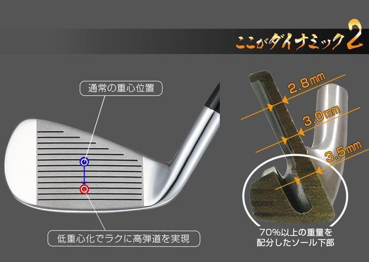 【ヘッド6個】強反発で飛ばす! ダイナミクス アイアン カスタム用ヘッド単品