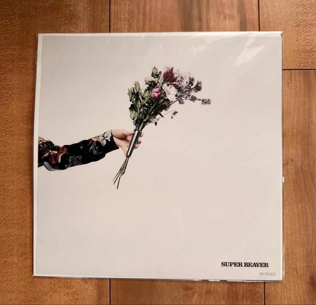 レア！SUPER BEAVER メガジャケ5点セット/スーパービーバー