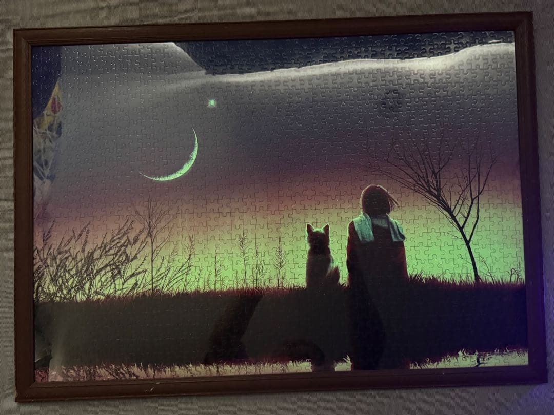 ジグソーパズル KAGAYA ルナ・ガーデン 1000ピース　光るパズル