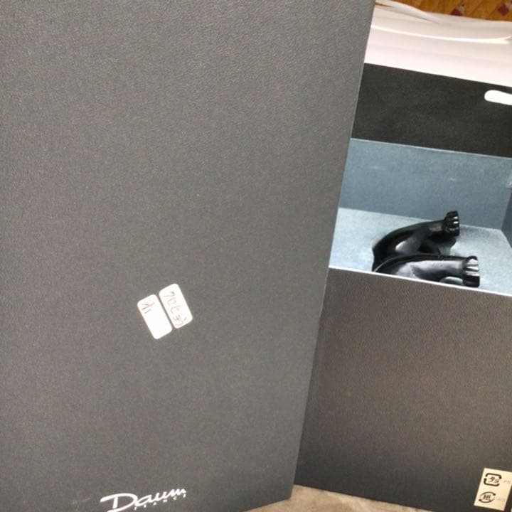 黒ヒョウ　ブラックパンサー　ドームフランス　ナンシー　開運　浄化　クリスタル