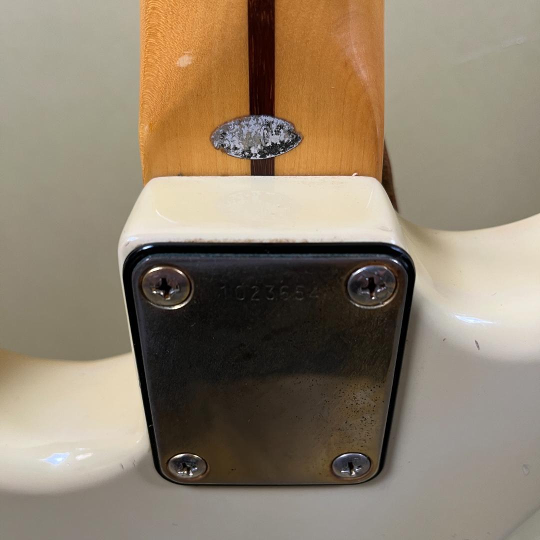 Tokai SS70 Limited Products 1981年製 OW