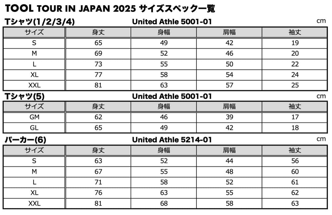 TOOL WINGED CREATURE BLACK Tシャツ XLグッズ