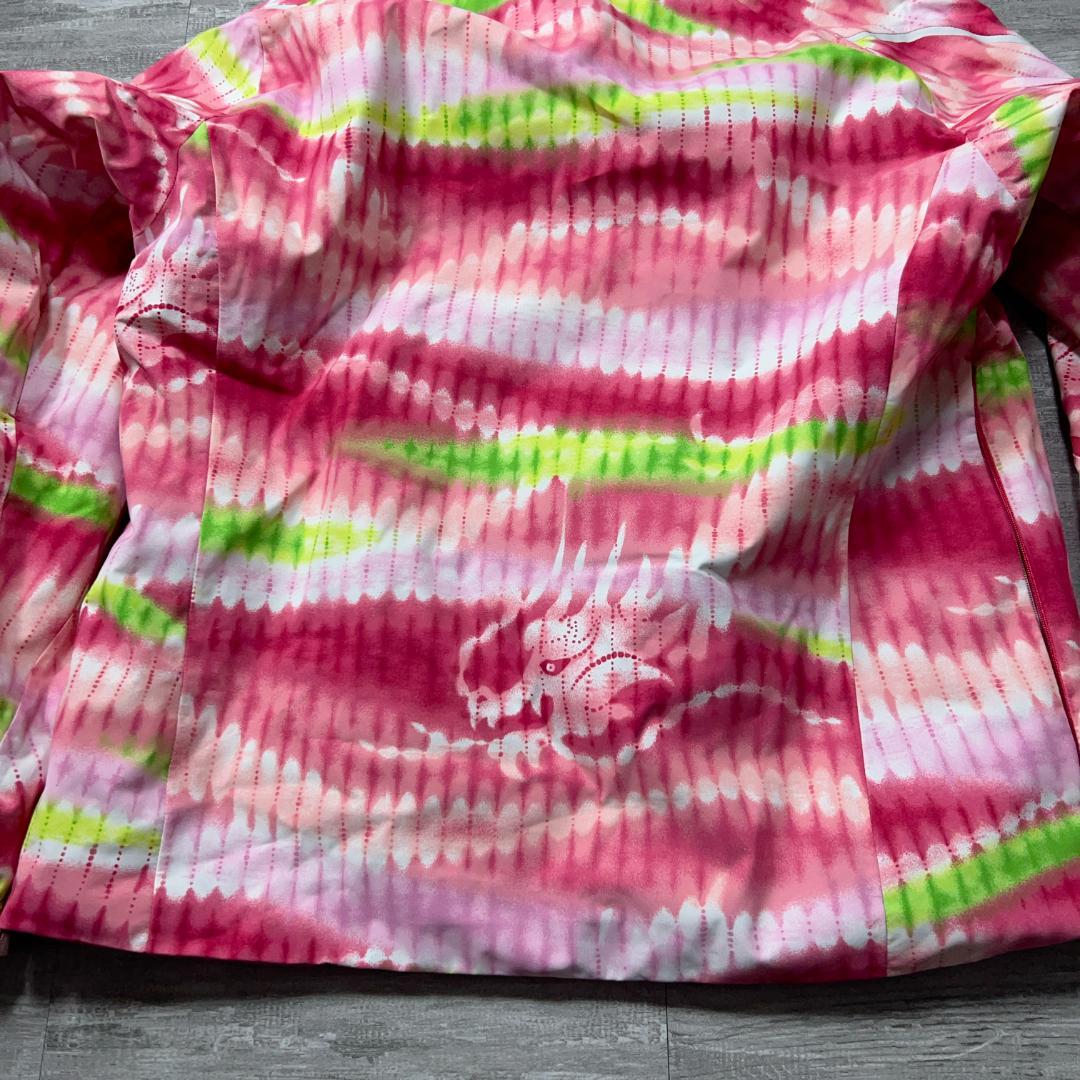 ハイエンドモデル MIZUNO × ONYONE スキーウェア メンズS 龍