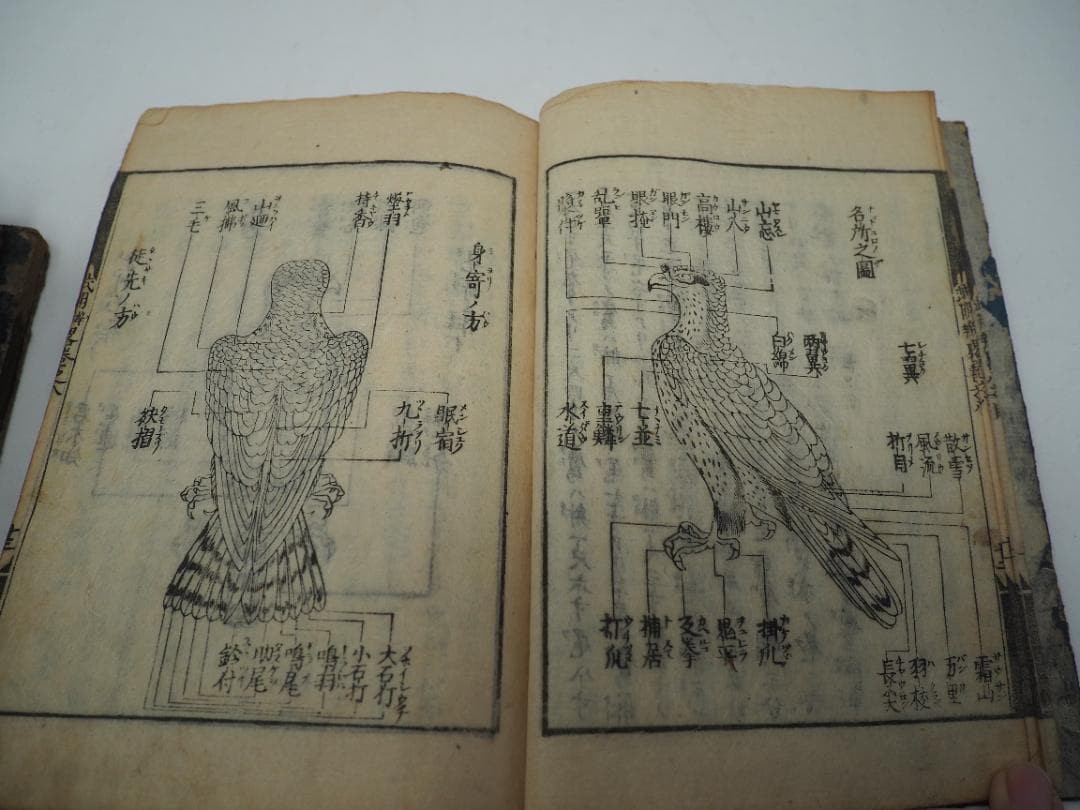 和本　武用弁略（江戸時代の兵法書・武事関連の解説書）　全1～8巻セット