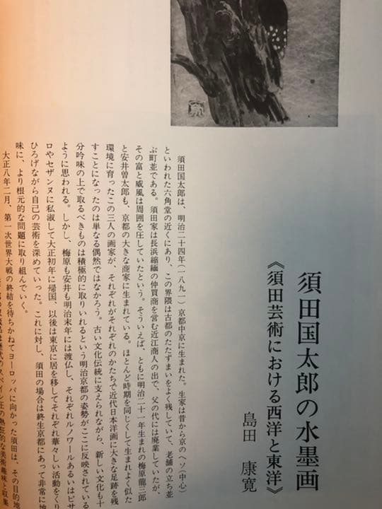 須田国太郎　水墨画集 限定　定価75000円　楽游書房